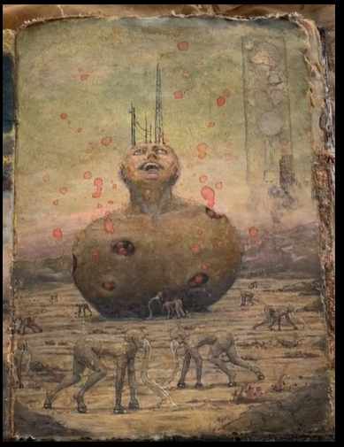 Image 5