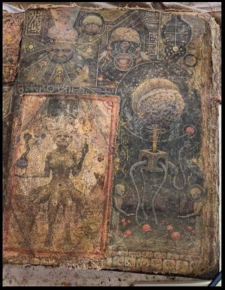 Image 5